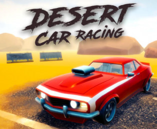 /upload/imgs/desert-car-racing.jpeg
