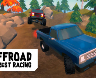 /upload/imgs/offroad-forest-racing.jpeg